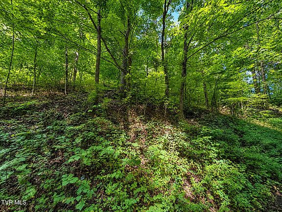 4th image of Hickman Hollow Rd