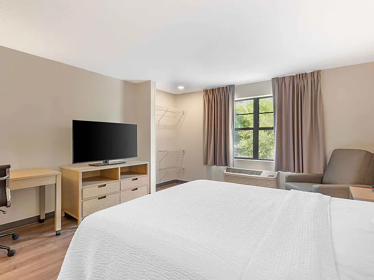 Studio Suite - 1 Queen Bed