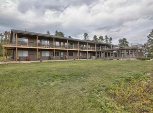 21117 Stewart Slope Rd, Lead, SD 57754