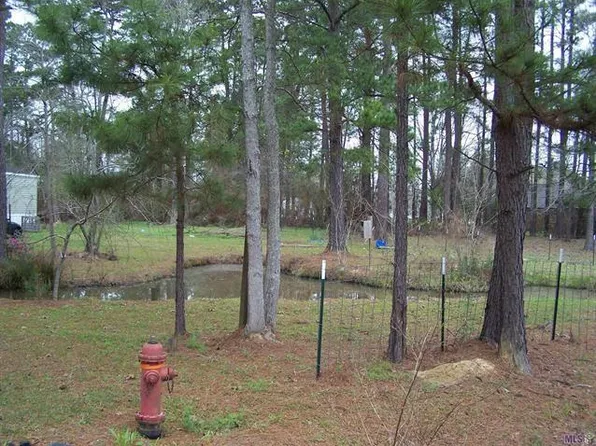 9465 Deer Path Dr, Denham Springs, LA 70706