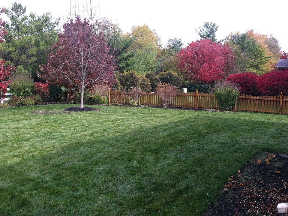 2nd image of 10674 Tennison Dr