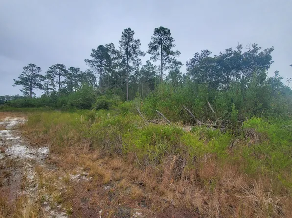 Xx S Lake Rosemary Ct, Defuniak Springs, FL 32433