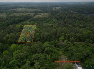 Elm Dr, Harleton, TX 75651