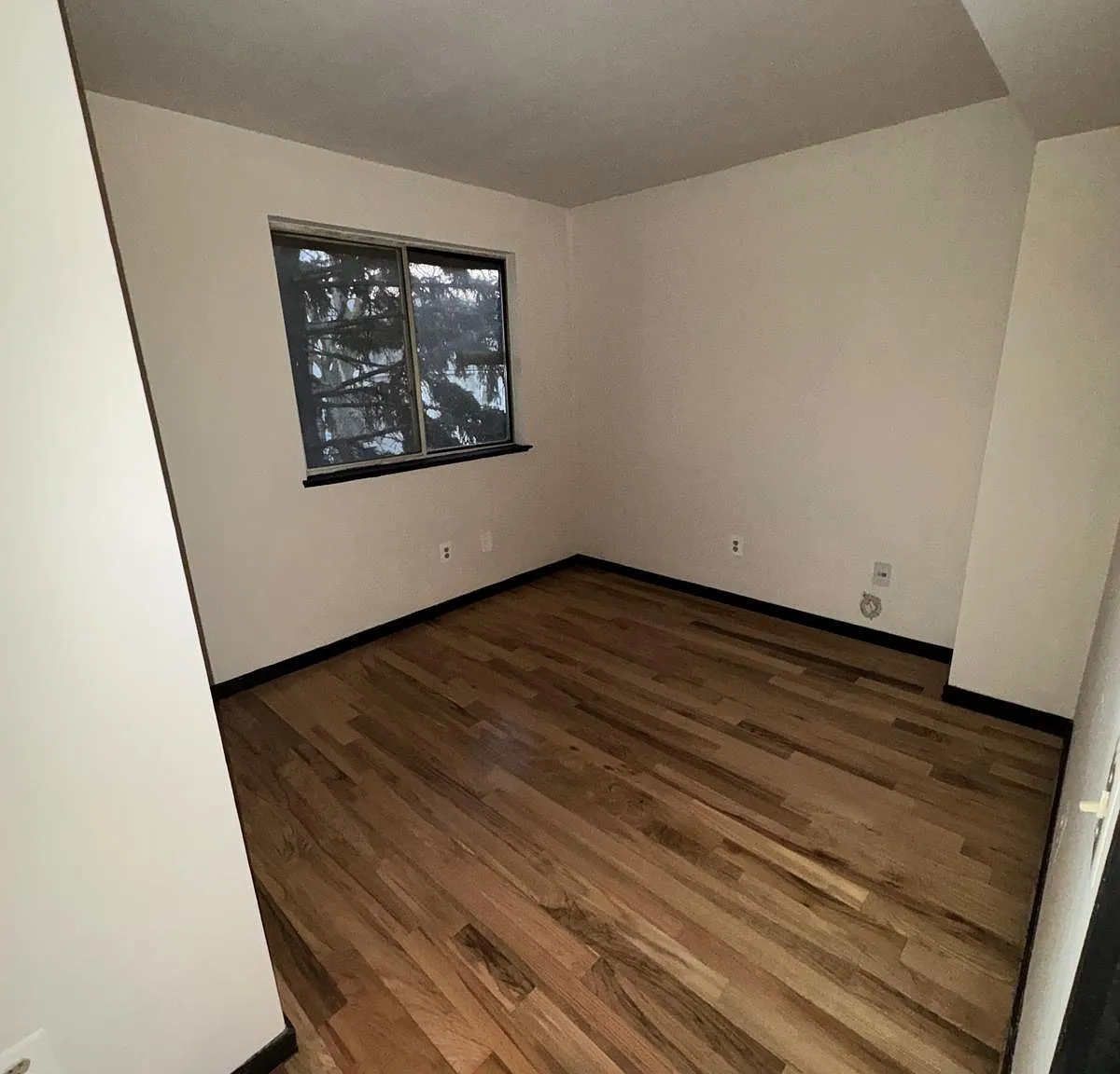 3 bed, 920 sqft, $2,500 — Photo 2
