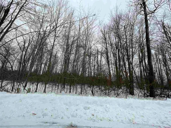 6167 Lambert Dr, Alanson, MI 49706