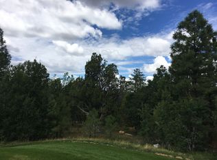 1151 S Falling Leaf Rd, Show Low, AZ 85901