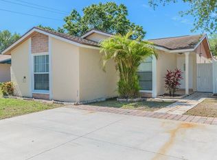 10211 Sable Ridge Ct, Tampa, FL 33615