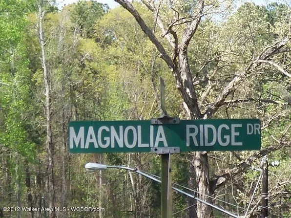 Magnolia Ridge Dr, Jasper, AL 35504