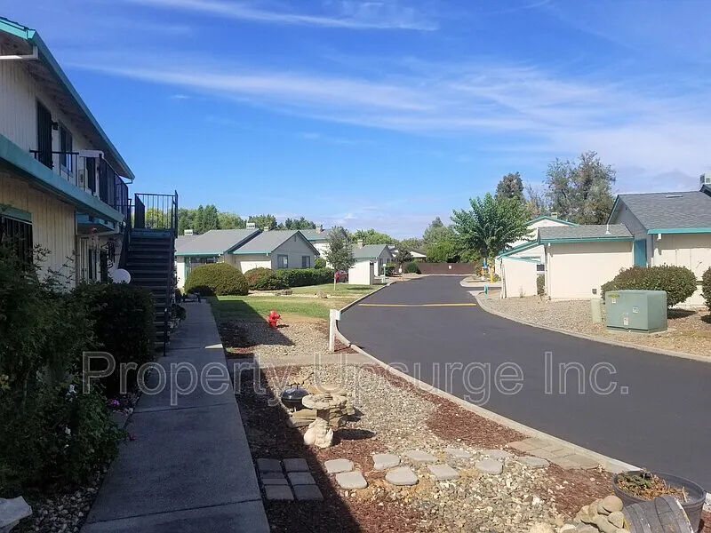 The Coho — Photo 2