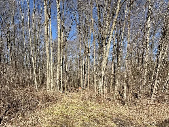 0 Lindsey Rd, East China, MI 48054