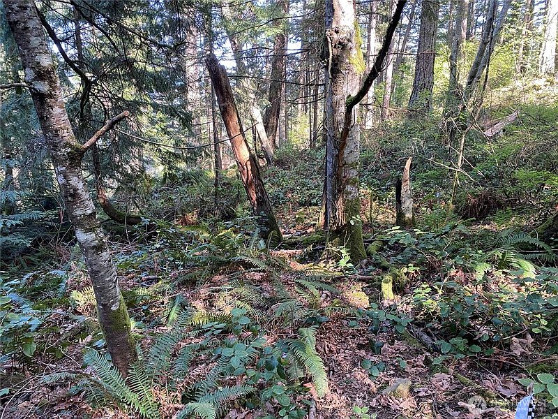 2nd image of 2861 Aiston Creek Rd