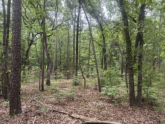 2nd image of 0 County Road 34980