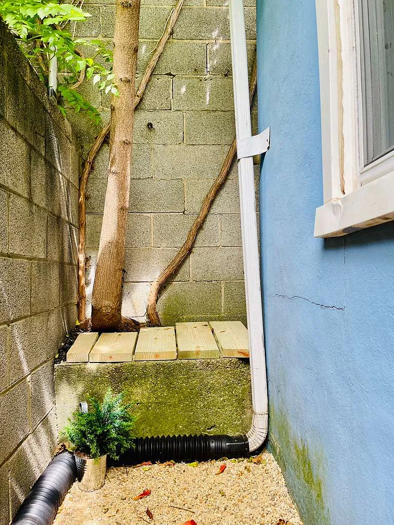 1 bed, 644 sqft, $2,700 — Photo 4
