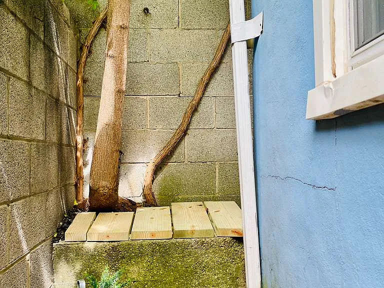 317 S Duncan St — Photo 4