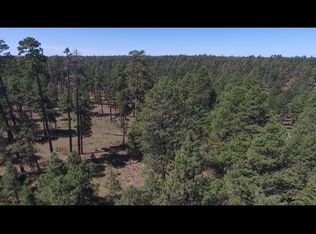 3250 Larson Loop, Forest Lakes, AZ 85931