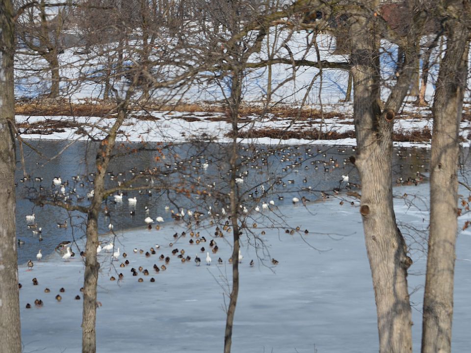 1439 S Lakeshore Dr, Fowler, IL 62338 Zillow