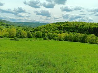 785 Kiff Brook Rd, Bloomville, NY 13739