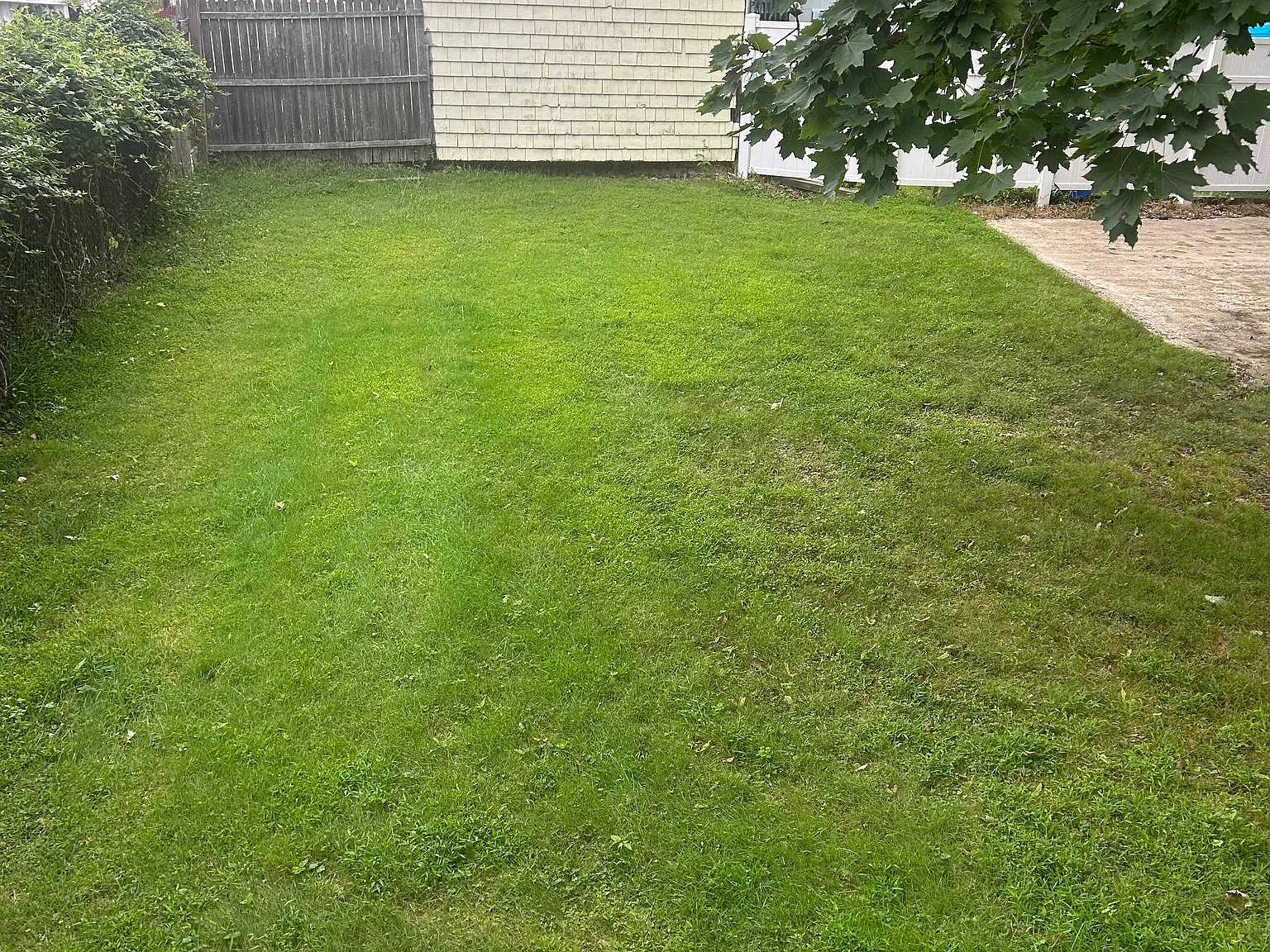 1 bed, 1556 sqft, $2,300 — Photo 3