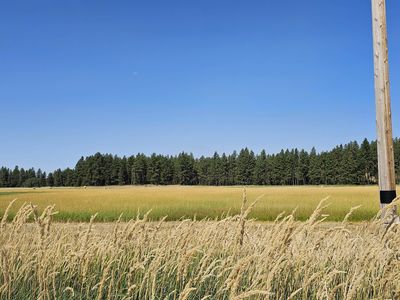 Nna S Parker Road Parcels #33303.9058-33316.9059, Spangle, WA, 99031