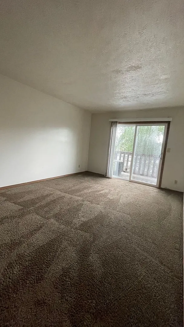 3 Bedroom Apartment Near Campus — Photo 3