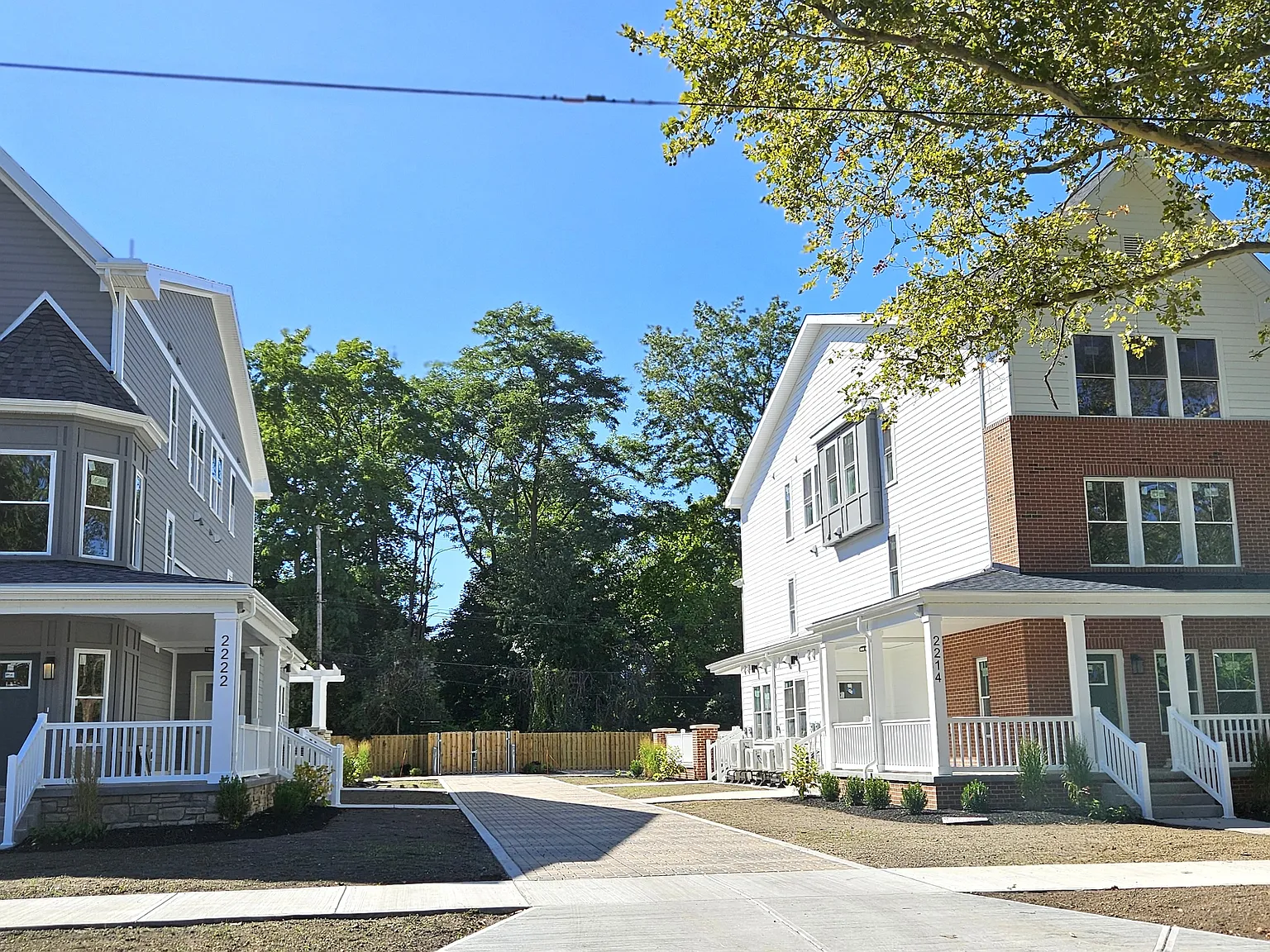 1 bed, 547 sqft, $1,250 — Photo 2