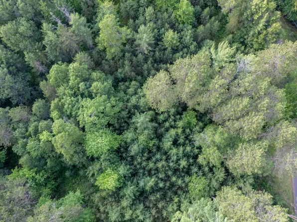 LOT 6 Dads Lake Rd, Eagle River, WI 54521