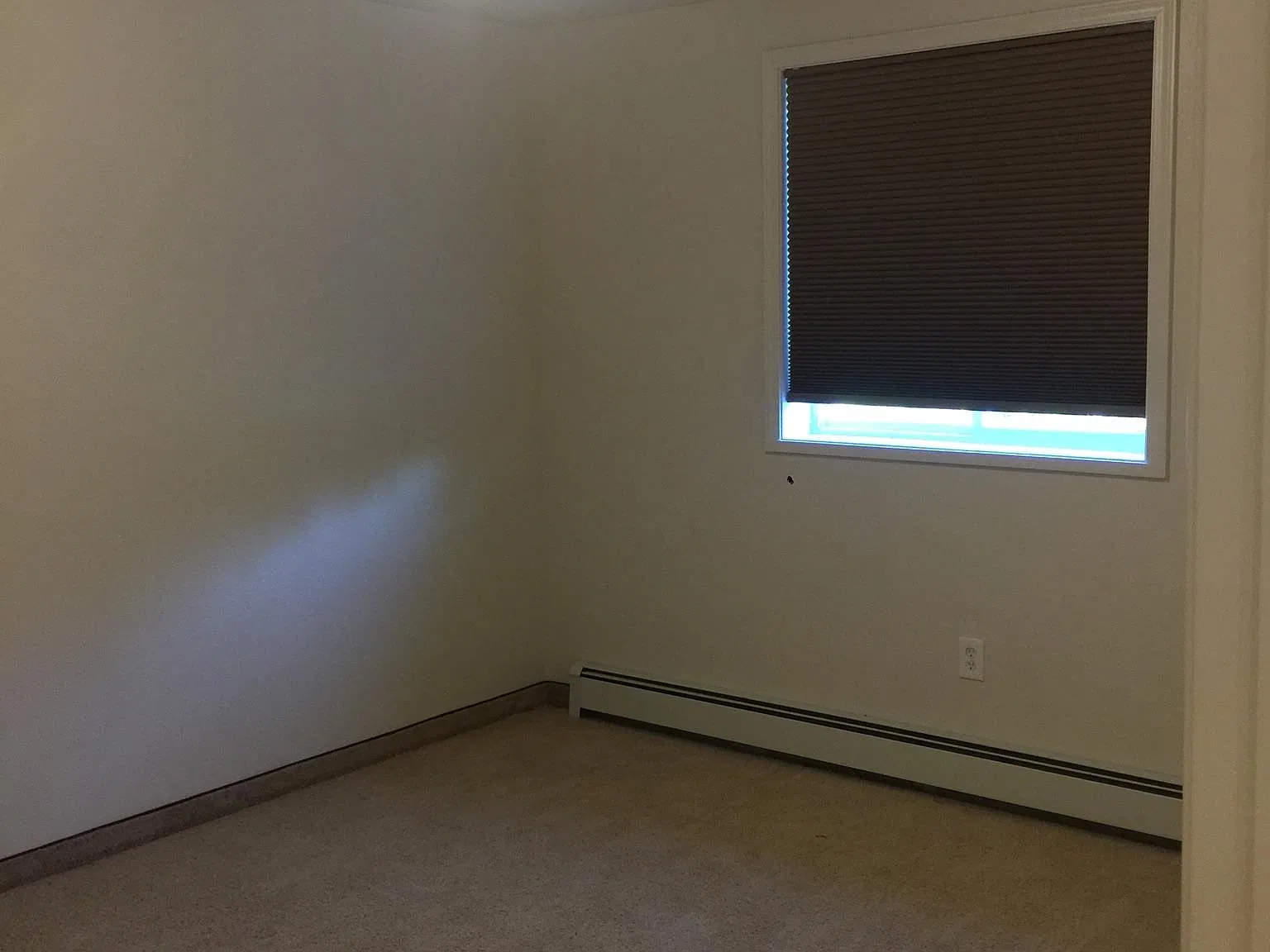 892 Agnes Ln — Photo 3