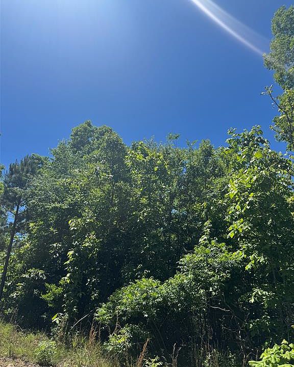 2nd image of 60 Ridge Rd Lot 60