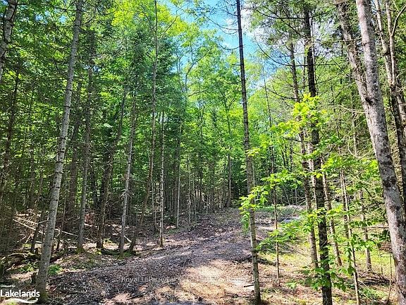 4th image of LOT 5 Fairy Falls Rd