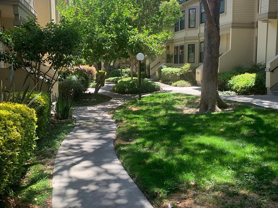 Front door Garden path