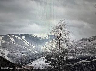 491 Metcalf Rd APT E14, Avon, CO 81620