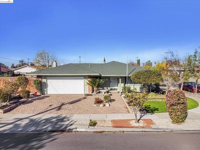 6419 Jasmine Ave, Newark, CA, 94560