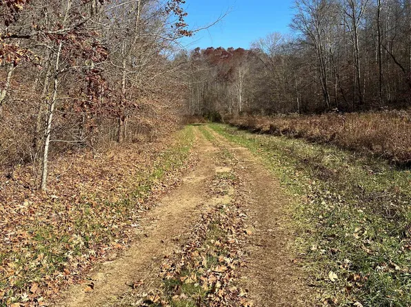 0 Sugar Tree Branch Rd, Wallingford, KY 41093