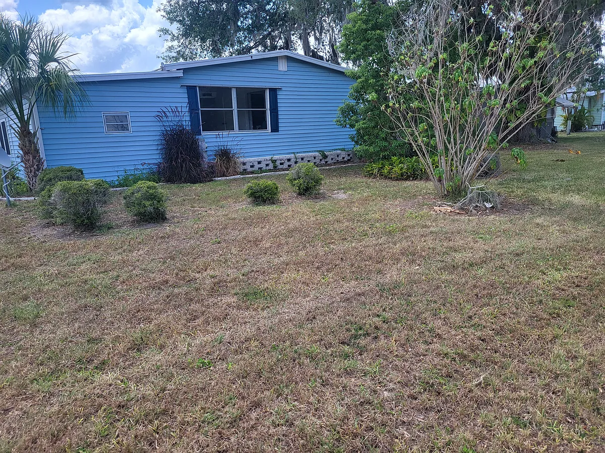 Back Yard - 555 Montego Ln S