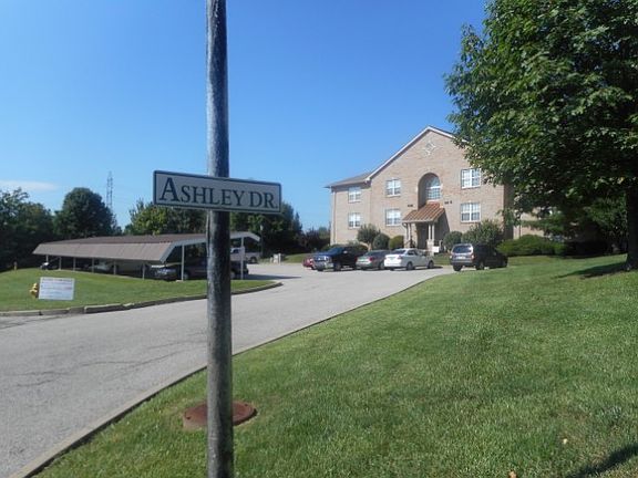 3rd image of 209 Ashley Village Dr
