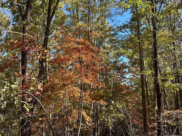 0 Luckadoo Mountain Rd #171, Bostic, NC 28018