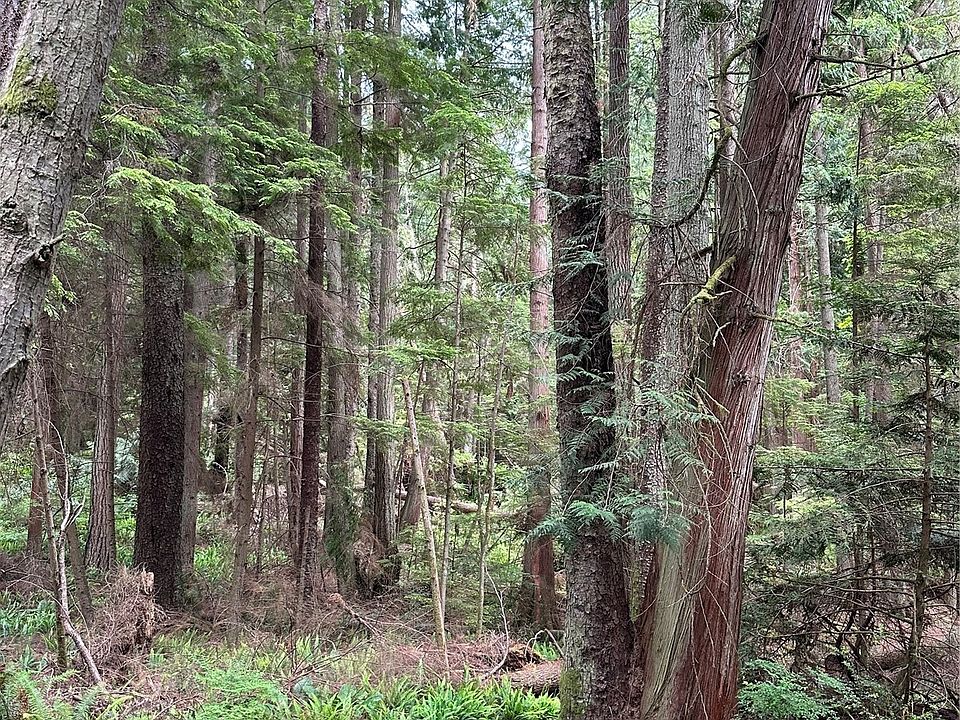 1st image of 4555 Evenstar Lane