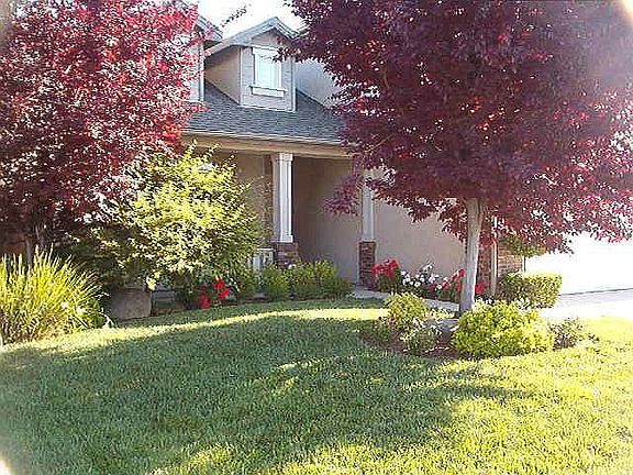 MATURE LANDSCAPING