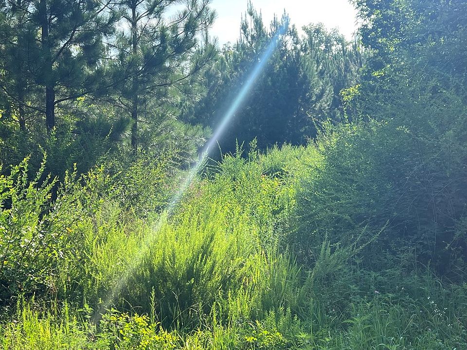 2nd image of Newbill School Rd