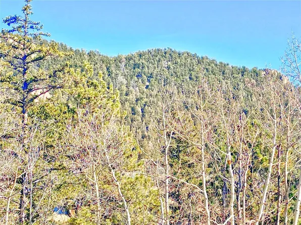1811 Ute Trail, Como, CO 80432