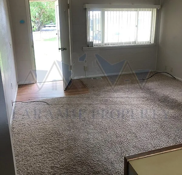 529 Spring Creek Dr #4 — Photo 3