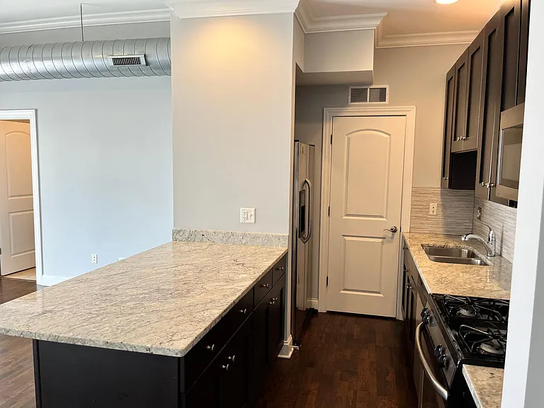 1440 S Wabash Ave #304 — Photo 7