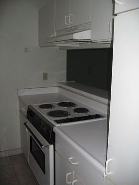 4th image of 40 Kapi Ln #17-204