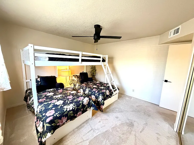 441 Silver King Dr — Photo 35