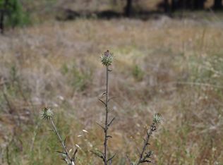 15300 Bottle Rock Rd, Cobb, CA 95426