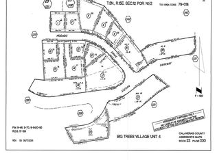 299 Iroquois Dr, Camp Connell, CA