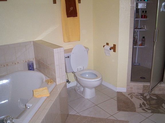 Garden Tub Separate Shower