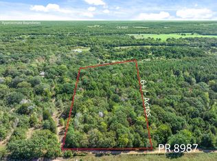 County Road 8987, Ben Wheeler, TX 75754