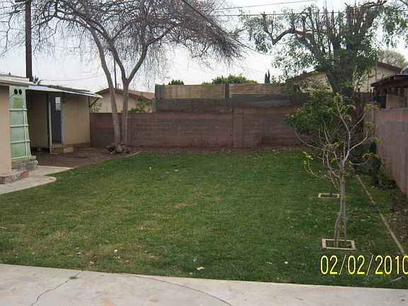 back yard