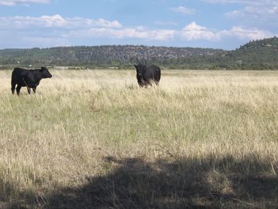 E V44 Dr Lot 21, Norwood, CO, 81423